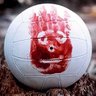 Wilson's profile picture