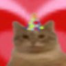 Profilbild von Peter