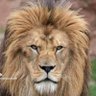 عبدالحق's profile picture