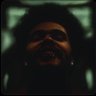 Profilbild von THE BIG STEPPERS
