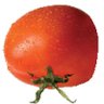 tinysoul's profile picture