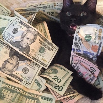 .'s profile picture