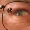 best of breaking bad's profile picture