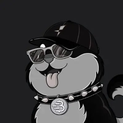 diaomao2023's profile picture