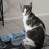 Фото профиля CleoCat