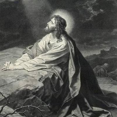 goldolopezz_'s profile picture