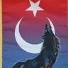 Gozanlı bree's profile picture