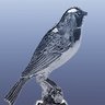 Фото профиля Tin Canary