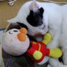 さな😺💝ZARD🎶's profile picture