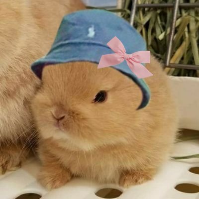 ambmovement's profile picture