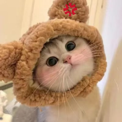 火星甘's profile picture