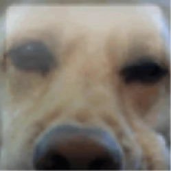 jrodfz's profile picture