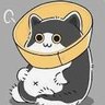 Profilbild von 加密老猫
