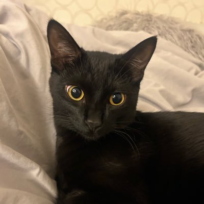 hqruchqmm's profile picture