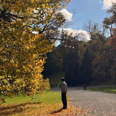 DenissForReal's profile picture