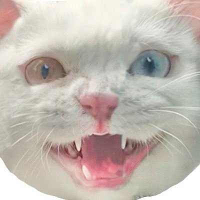 ajaiib's profile picture