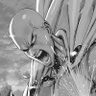 Фото профиля Genos