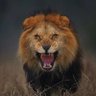 Ruan profil fotoğrafı