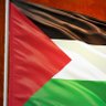 محمد ابراهيم's profile picture
