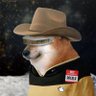 default niche anonymity's profile picture