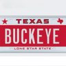 Texas Buckeye's profile picture