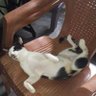 Bai Lin profil fotoğrafı