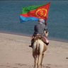 ወትሩ ሃገረይ profil fotoğrafı