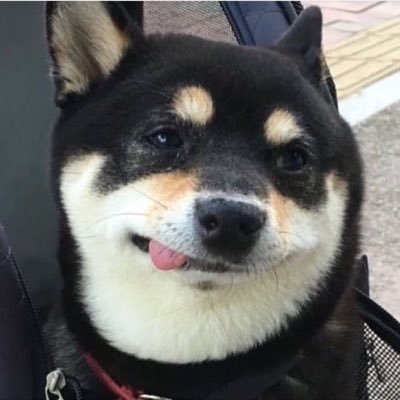nnexmnjj's profile picture