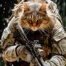 Oleksandr's profile picture