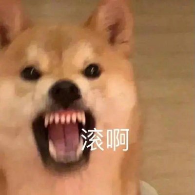 wjbsj_'s profile picture