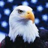 Фото профиля The Patriot