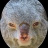 Jim's profile picture