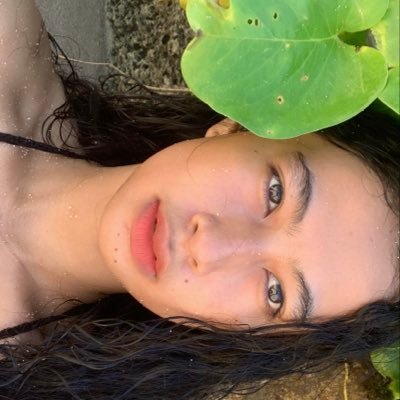 birdblackbuck's profile picture