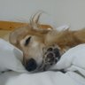 りょう(ロム専)'s profile picture