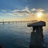 Miami Social profil fotoğrafı