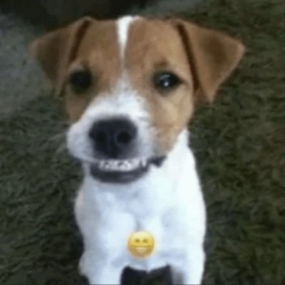 sthezsz's profile picture