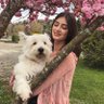Polly profil fotoğrafı