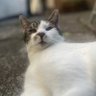 Biscuit profil fotoğrafı