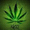 FourDubb 🌿 的头像