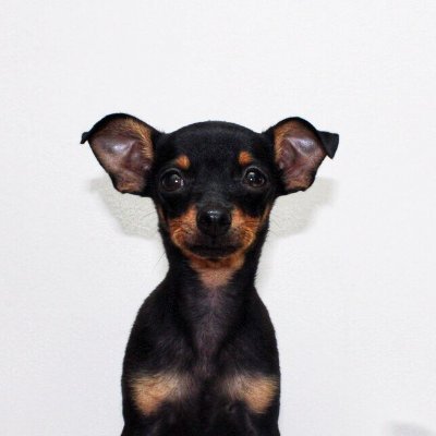 maria's profile picture