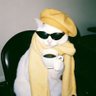 Profilbild von 👽