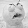 crazysnowman 的头像