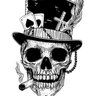 VeilWalkerBaron's profile picture
