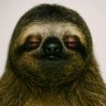 jef's profile picture