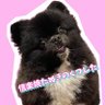 信楽焼たぬきのくつした|漫画も連載中's profile picture