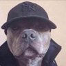 Riko.K2's profile picture