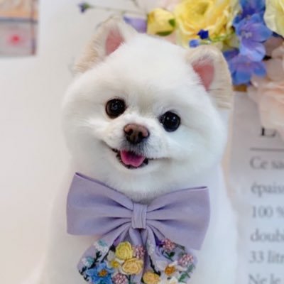 𝐜𝐡𝐚𝐦𝐦𝐲's profile picture