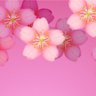 yamasakura🌸 的头像