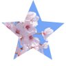 Profilbild von 🇯🇵憂国のMaverick🌸