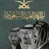 🇸🇦Amjad's profile picture